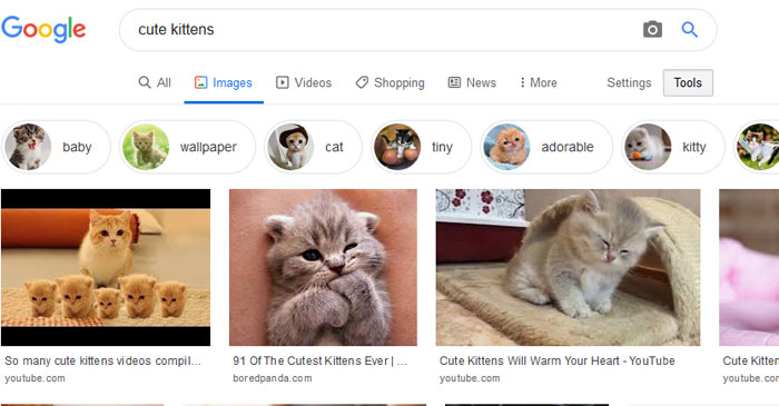 cute kittens google image search