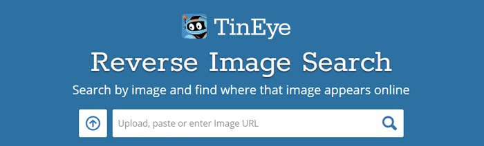 Tineye Reverse Image Search for Copyright & Royalty Free Check