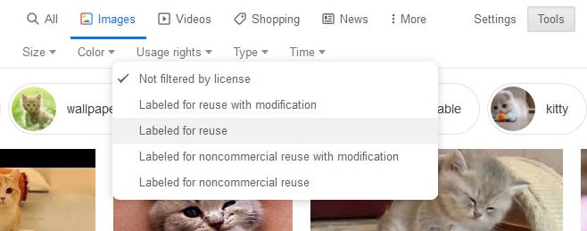 Google Images labeled for Reuse Sample